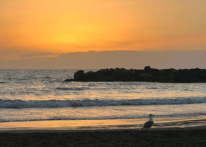 En Primera Línea De Playa, Céntrico, Tranquilo